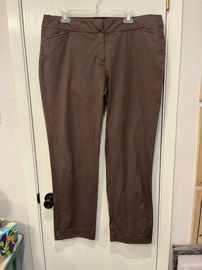Eileen Fisher Stretch Organic Cotton Chinos Pants Trousers Brown sz Large XL 16